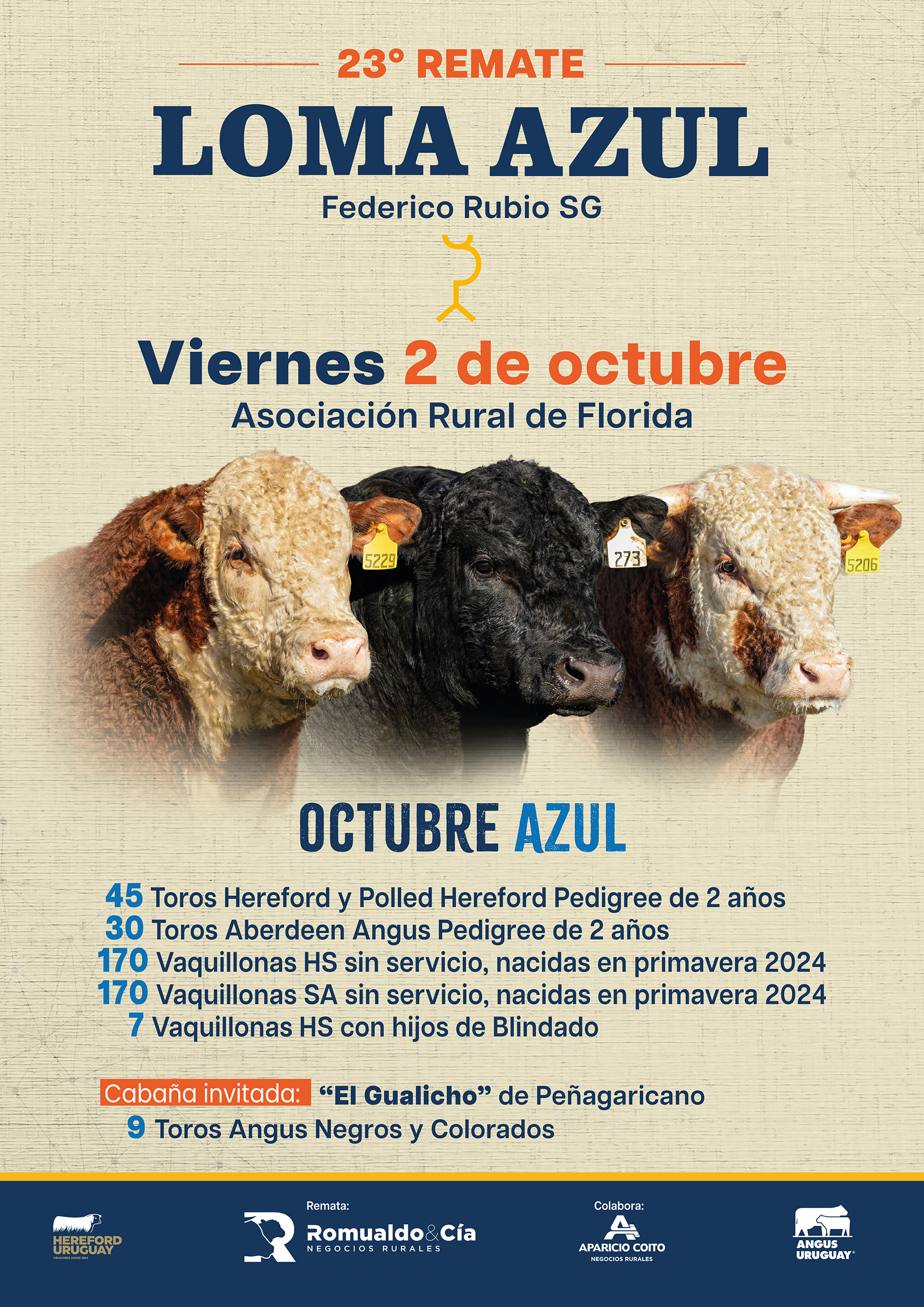 23º Remate Loma Azul